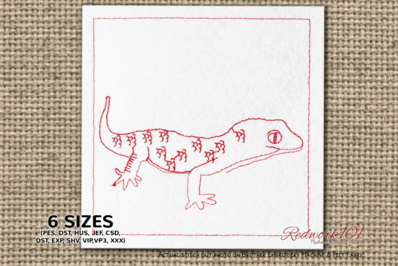 Close Up of Gekkonidae Lineart Review