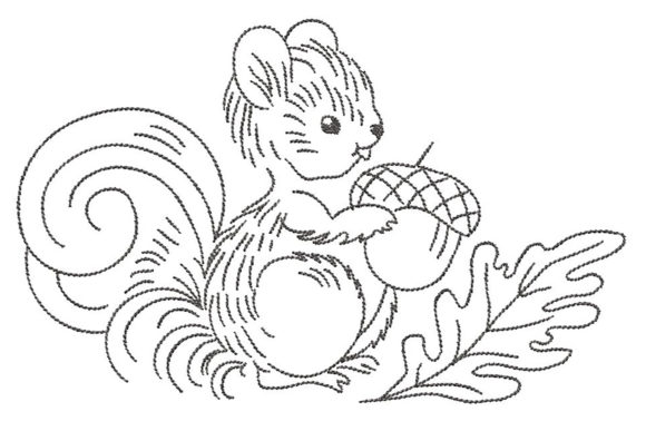 Squirrel Simplistic Lines: A Designer’s Review