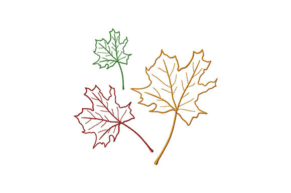 Three Colored Maple Leaves: Apparel Design Review